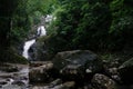 Argyll waterfall park on the Caribean Island of Tobago Royalty Free Stock Photo