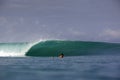 Green tropical surfing wave and surfer