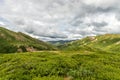 The Vast Green Tundra Scene Found in Alaska`s Denali National Park