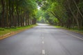 Green tunel forest clean road in the early morning, Thailand Royalty Free Stock Photo