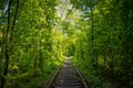 Green tunel in Ukraine
