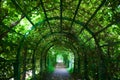 Green tunnel