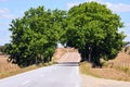 Green tunnel