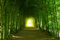 Green tunnel Royalty Free Stock Photo