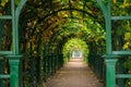 Green tunnel