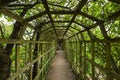 Green tunnel Royalty Free Stock Photo