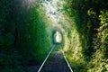 Secret green tunnel on the railway The Arch of Love Royalty Free Stock Photo