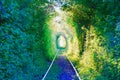 Secret green tunnel on the railway The Arch of Love Royalty Free Stock Photo