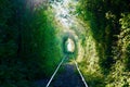 Secret green tunnel on the railway The Arch of Love Royalty Free Stock Photo