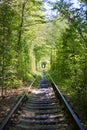 Green tunner in forest. Love place Royalty Free Stock Photo