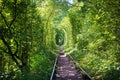 Green tunner in forest. Love place Royalty Free Stock Photo