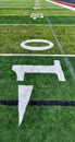 Perspective view of Grass Football Field with Yard Numbers