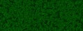 Green turf grass texture top view seamless pattern Royalty Free Stock Photo