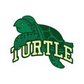 Green turtle logo isolated on white background, vector illustration Royalty Free Stock Photo