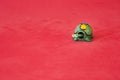 green turtle made of wood, mexican crafts Royalty Free Stock Photo