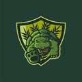 Green turtle mascot logo in shield