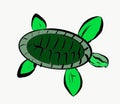 Green Turtle Art Vector Illustration Photo Marine Life Animal Green Color Abstract