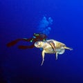 Green Turtle and Scuba Diver Royalty Free Stock Photo