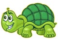 Green_ turtle Royalty Free Stock Photo