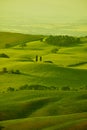 Green Tuscany hills Royalty Free Stock Photo