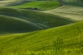 Green Tuscany hills Royalty Free Stock Photo