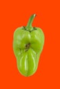 green ugly pepper with bright red background, trendy food concept