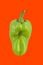 Green ugly pepper with bright red background, trendy food concept