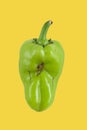 Green ugly pepper with bright yellow background, trendy food concept