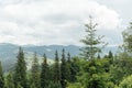 Green Ukrainian mountains. Summer time. Beautiful views of the largest peaks. Royalty Free Stock Photo