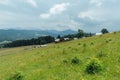 Green Ukrainian mountains. Summer time. Beautiful views of the largest peaks. Royalty Free Stock Photo