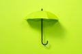 Green umbrella isolated on green background Royalty Free Stock Photo