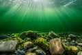 A green underwater background with fresh water and sunlight filtering in from under the surface Royalty Free Stock Photo