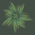 Green underwater linear translucent ghostly iridescent flower