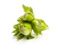 Green unripe hazelnuts isolated on white background Royalty Free Stock Photo