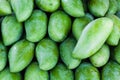 Green Unripe mango Mangifera indica Royalty Free Stock Photo