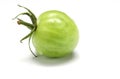 Green unripe tomatoes in greenhouse. Hairy and fuzzy tomato plant, selective focus. Organic farming. isolated on white background. Royalty Free Stock Photo