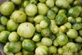 Green unripe tomatoes in an iron bucket. Top view