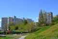 Green urban courtyard