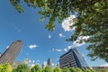 Urban park tree canopy with sunburst and modern building