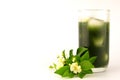 Green vagetable juice with orange jasmine