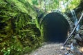 Green valey with old tunnel