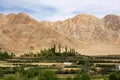 Green valley against Dry Mountains in Leh, Ladakh Royalty Free Stock Photo