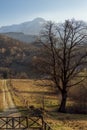 Green valley in Cheile Gradistei Royalty Free Stock Photo