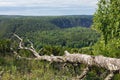 Green valley countryside panoramic landscape with forest trees and mountain hills. Nature scene with fallen dry tree on foreground Royalty Free Stock Photo