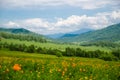 Green valley high on the mountains with the view to clear sky in summer day is spangled with blooming flowers Summer landscape, Al Royalty Free Stock Photo