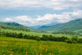 Green valley high on the mountains with the view to clear sky in summer day is spangled with blooming flowers Summer landscape, Al Royalty Free Stock Photo