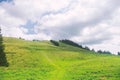 Green valley in hiils, green grass, cloudy sky. national park Royalty Free Stock Photo