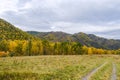 Green valley in the mountains. Yellow plateau in autumn. Golden field and forest in a mountain landscape