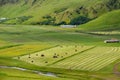 Green valley near Vik, Iceland on overcast summer day