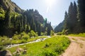 Green Valley with pine Trees and River